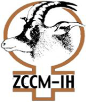 ZCCM Investments Holdings Plc